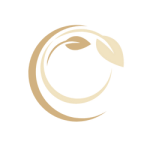 Trauma-Behandlung in München